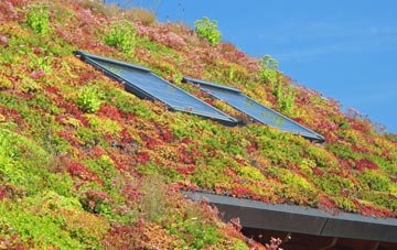 Willesden living roof systems