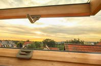 rated Willesden roof window companies
